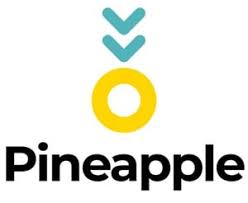 Pineapple Vehicle Insurance