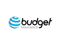 budget insurance roadside assistance